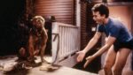 Tom Hanks em *Turner & Hooch*