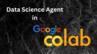 Data Science Agent no Colab