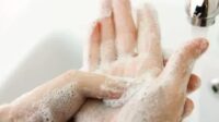 A Química do Sabão: Como Ele Mantém Nossa Higiene Milenar