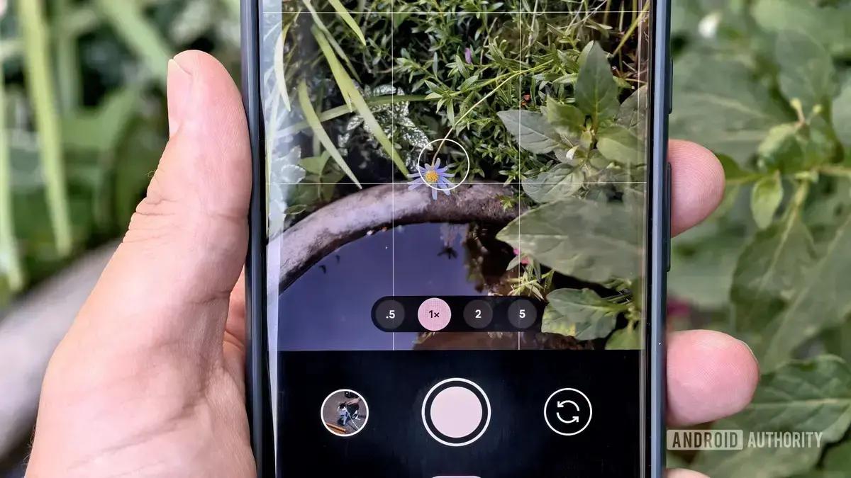 Como as pessoas utilizam a função de zoom das câmeras de celulares