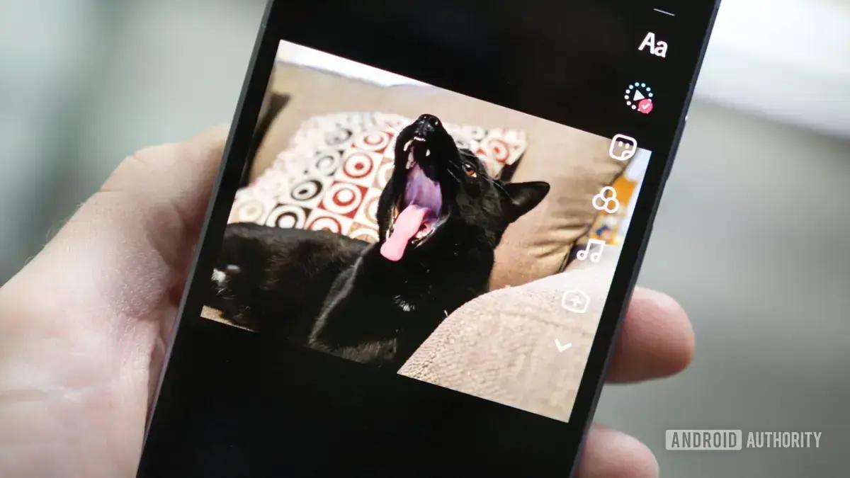 Testei a nova ferramenta de IA do TikTok e meu gato ganhou duas cabeças