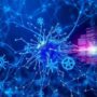 Pesquisa revela como combinar ajuste fino e aprendizado em contexto melhora modelos de linguagem