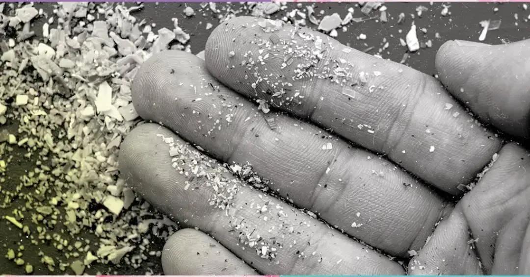 Microplásticos: como eles afetam sua saúde e o meio ambiente