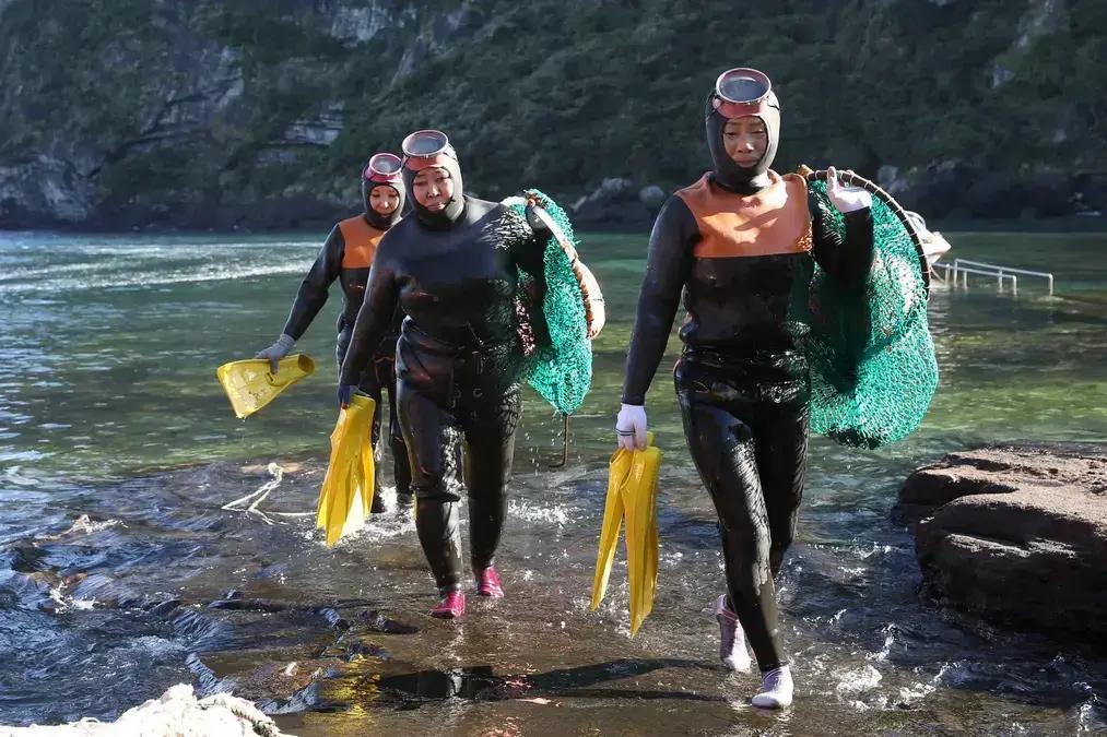 A Evolução das Mulheres do Mar e suas Adaptações Incríveis