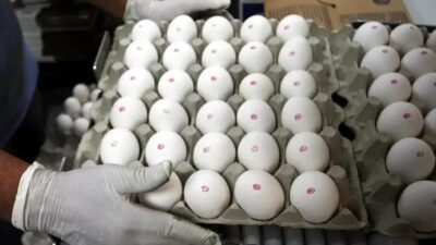 Global Eggs, de Ricardo Faria, compra granja na Espanha para expandir operações