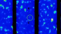 Astrônomos investigam objeto que pode ser o Planeta Nove