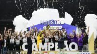 Déficit de R$ 575 milhões dos clubes paulistas e lucro do Palmeiras