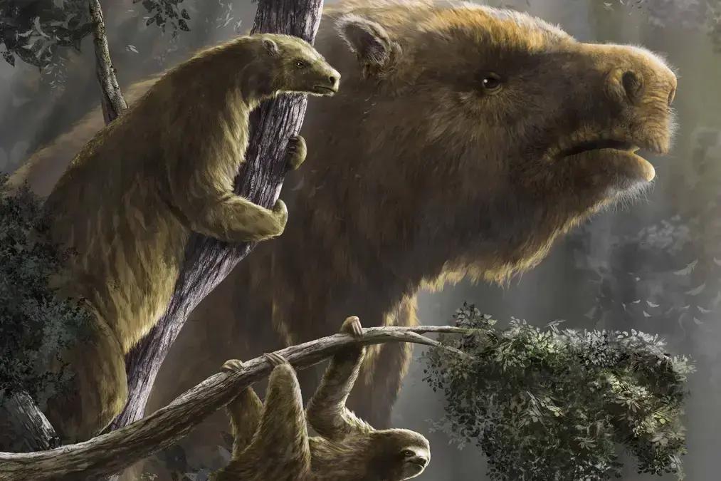 Pesquisa da USP revela que humanos podem ter causado extinção de preguiças gigantes na Era do Gelo
