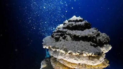 Fundo do oceano: menos de 0,001% é conhecido pela ciência