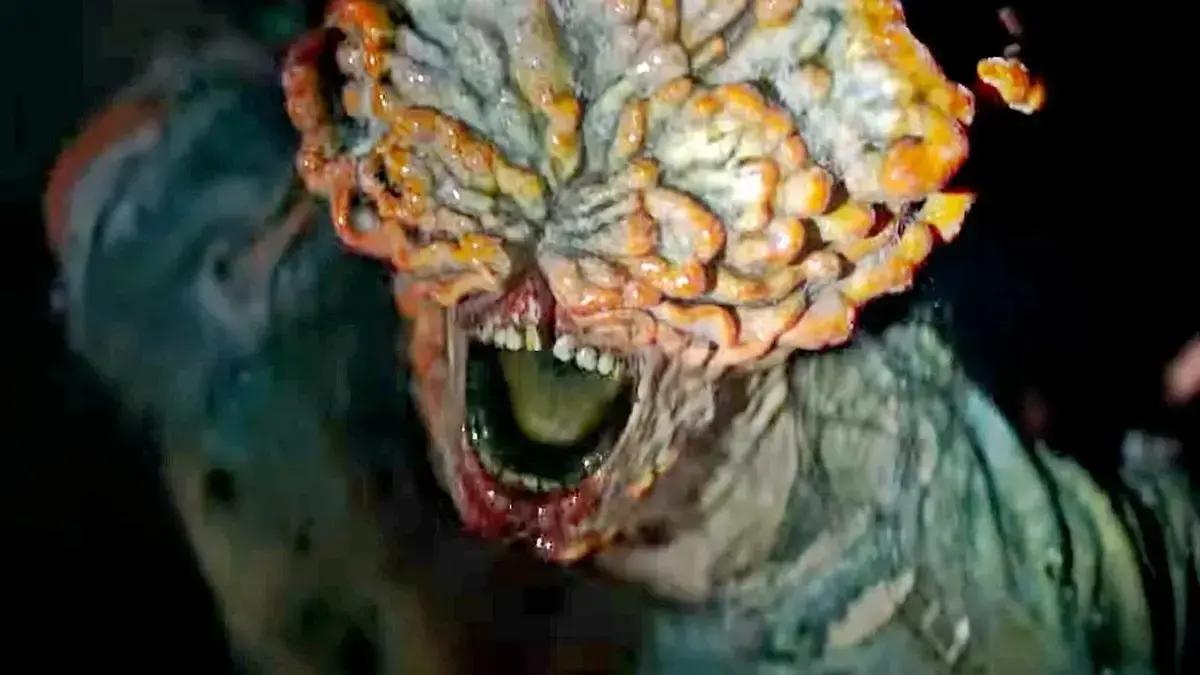 Cientistas alertam: o fungo de The Last of Us pode ser perigoso