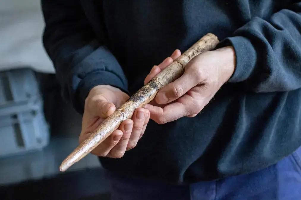 Ferramentas de ossos de baleia mostram criatividade de povos pré-históricos