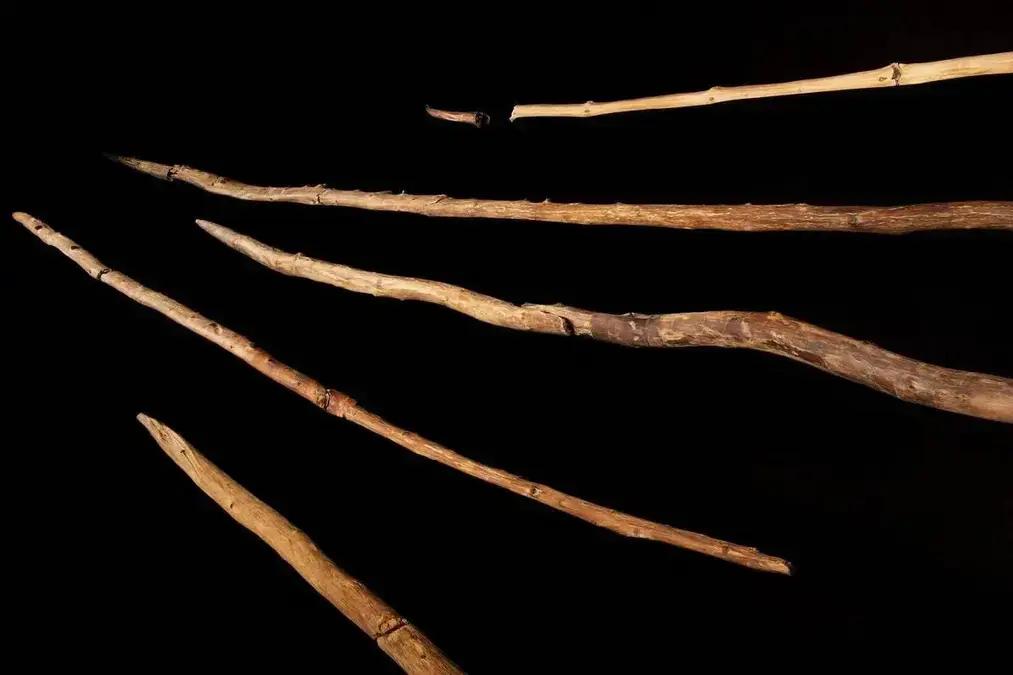 Neandertais desenvolveram lanças de madeira há 200 mil anos, revela estudo