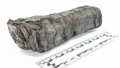 Pesquisadores identificam título e autor de manuscrito carbonizado pelo Vesúvio há 2 mil anos