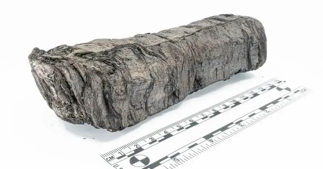 Pesquisadores identificam título e autor de manuscrito carbonizado pelo Vesúvio há 2 mil anos