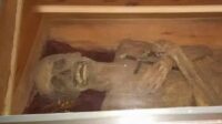 Descoberta Inédita: Múmia de Vigário Preservada desde o Século 18