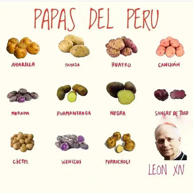 Novo papa Leão XIV vira alvo de memes nas redes sociais