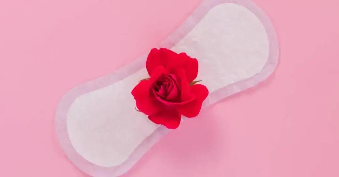 Ciclos menstruais sincronizam em mulheres que convivem muito? A ciência responde