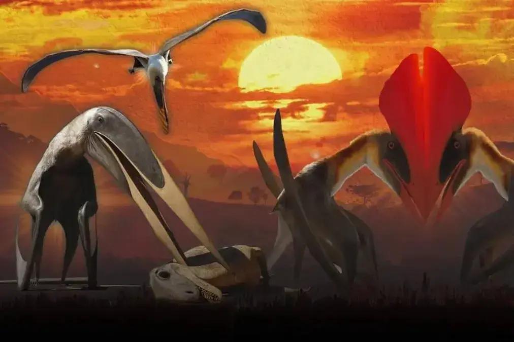 Pterossauros dominavam os céus do Brasil há milhões de anos