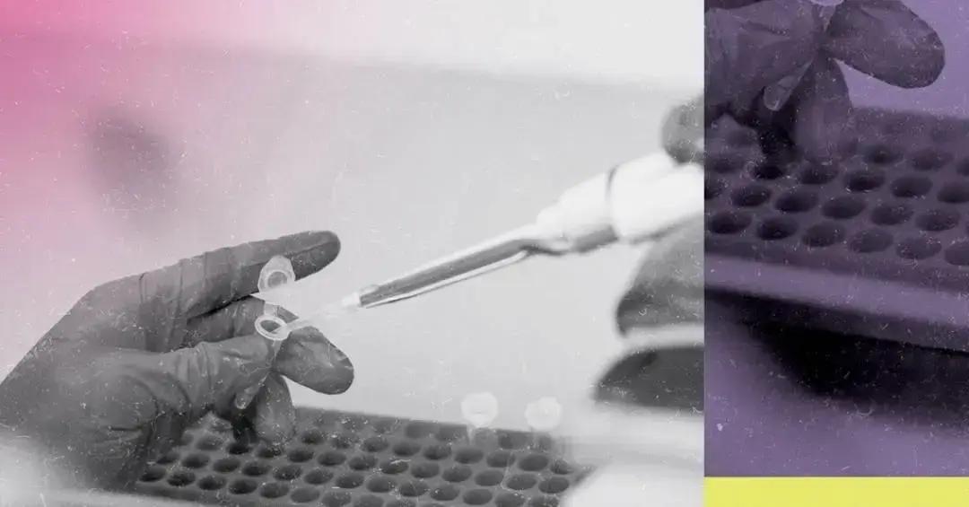 Droga experimental mostra eficácia na redução do uso de cocaína
