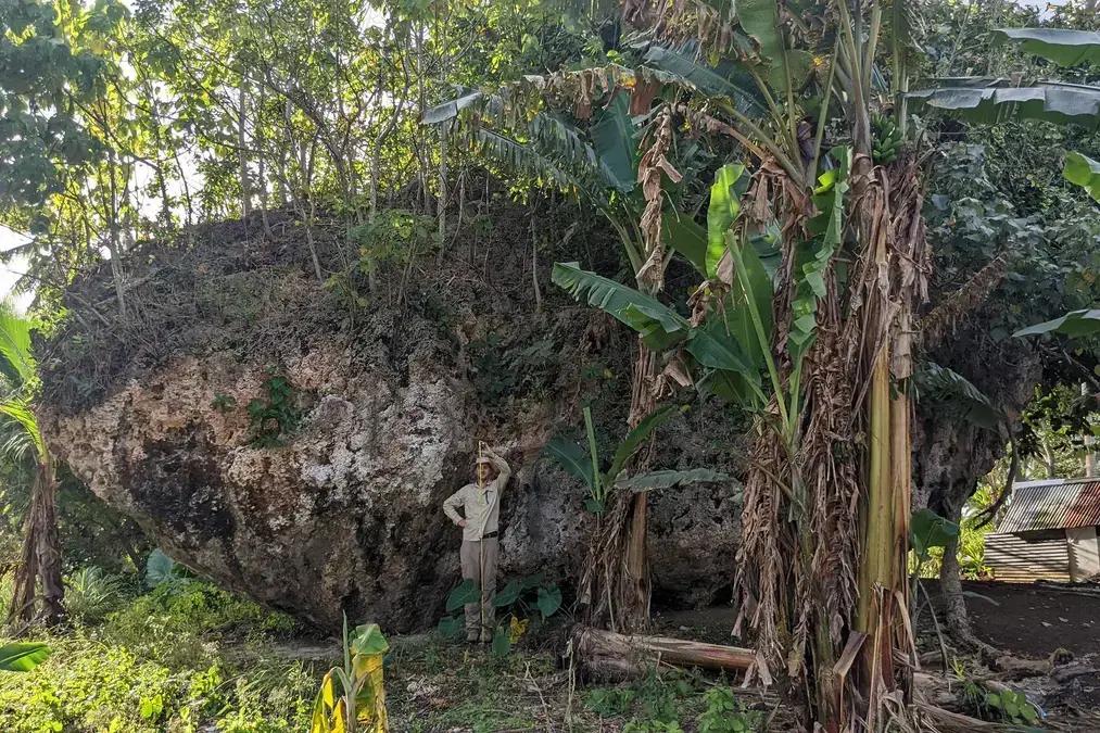 Rocha gigante em Tonga foi movida por tsunami há milhares de anos, revela estudo