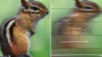 Qual a velocidade necessária para um objeto se tornar invisível aos olhos humanos?