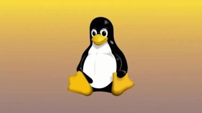 Dinamarca substitui Windows e Office por Linux para reduzir dependência da Microsoft