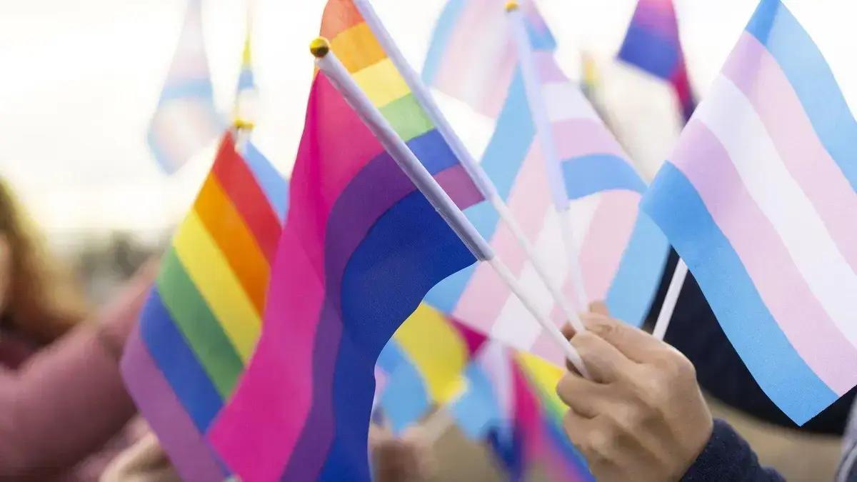 Como a comunidade LGBTQIA+ está transformando o setor de tecnologia
