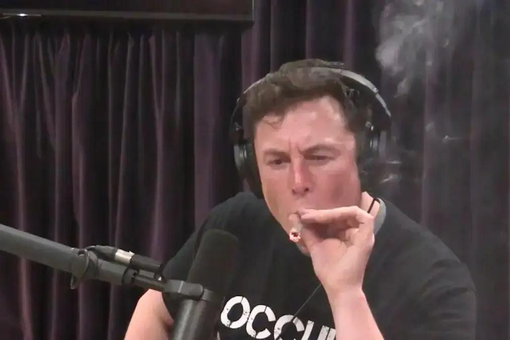 Tesla na Índia gera dúvidas sobre resistência e infraestrutura