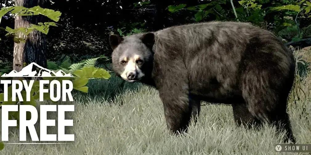 Teste gratuito de Way of the Hunter: Wild America revela ambiente selvagem