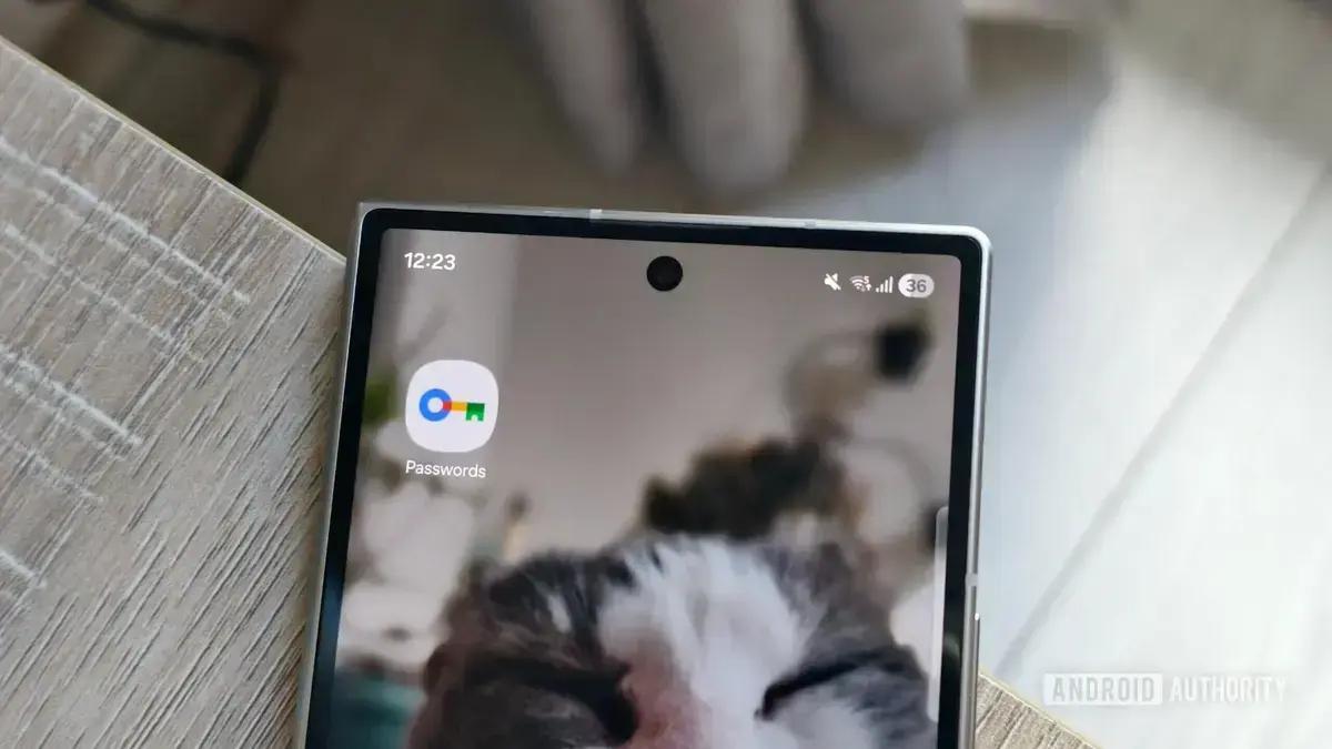 App de senhas do Google facilita troca do Chrome por outros navegadores