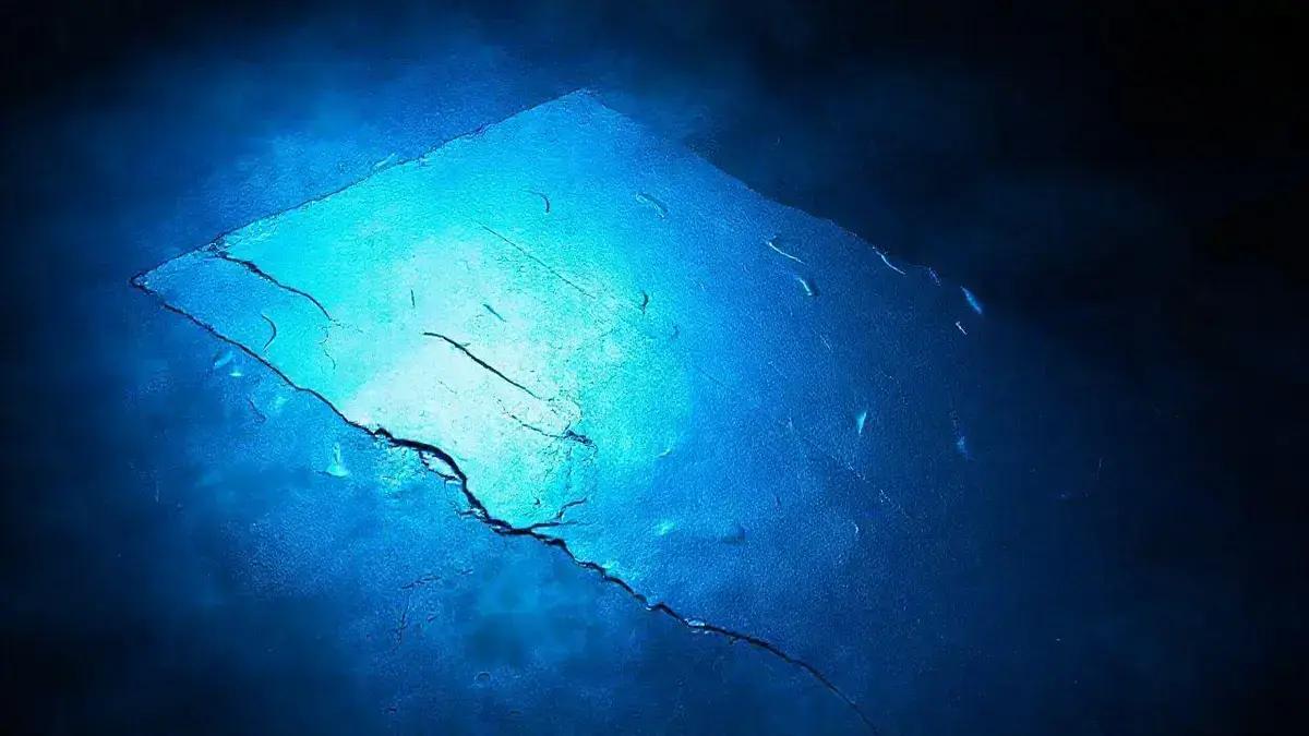 X redefine o significado do selo azul: de autenticidade a assinatura