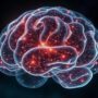 Nova metodologia avalia desempenho real de grandes modelos de linguagem (LLMs)
