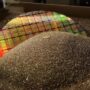 GlobalWafers inicia produção de wafers de silício nos EUA com investimento da Apple e TSMC
