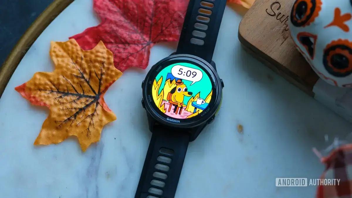 Uso diário de Garmin: a face do relógio que traz um sorriso