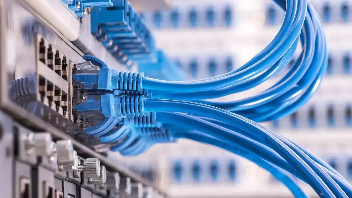 O ninho que virou notícia na internet não existe mais