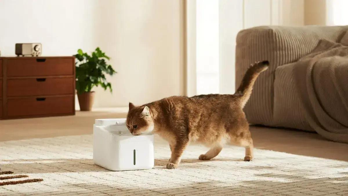 Review: Xiaomi Smart Pet Fountain 2 não substitui a tigela tradicional para pets 1 Review: Xiaomi Smart Pet Fountain 2 não substitui a tigela tradicional para pets