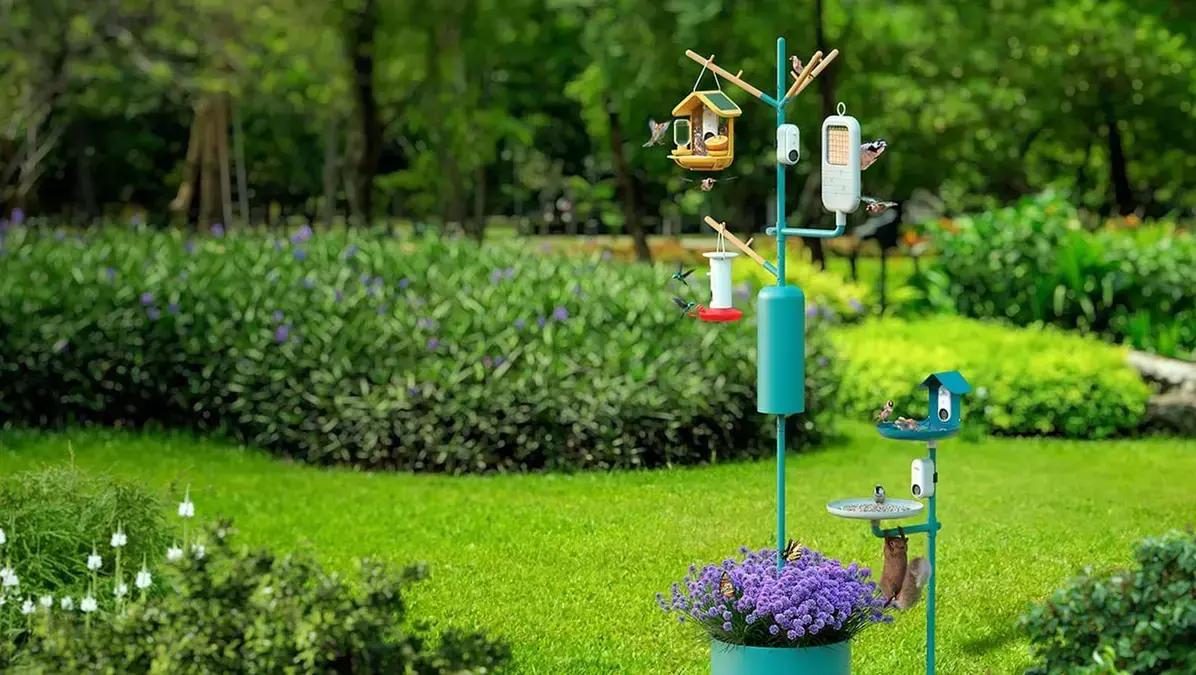 Análise: Comedouro Bird Buddy Pro e acessórios trazem a natureza para perto