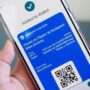 Google Wallet amplia suporte para cartões de embarque da American Airlines