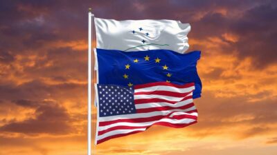 O maior projeto do BRICS no Brasil trará mais desafios ambientais que benefícios? 49 O maior projeto do BRICS no Brasil trará mais desafios ambientais que benefícios? 10