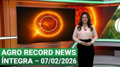 Desafios e Oportunidades da Inteligência Artificial no Mercado Tradicional Brasileiro