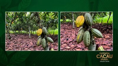 Por que 40% das profissões tradicionais no Brasil terão baixa demanda em 2026? 10