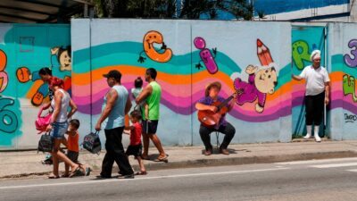 Brasil enfrenta desafios para incluir animais de serviço em setores especializados