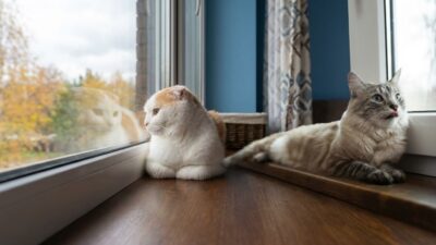 Startup lança vacina mRNA personalizada contra câncer em cães com apoio de IA